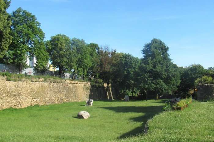 Ilustračný obrázok k článku Revitalizácia Záhrady umenia a stromoradia: Koľko drevín padne a ako ich nahradia?