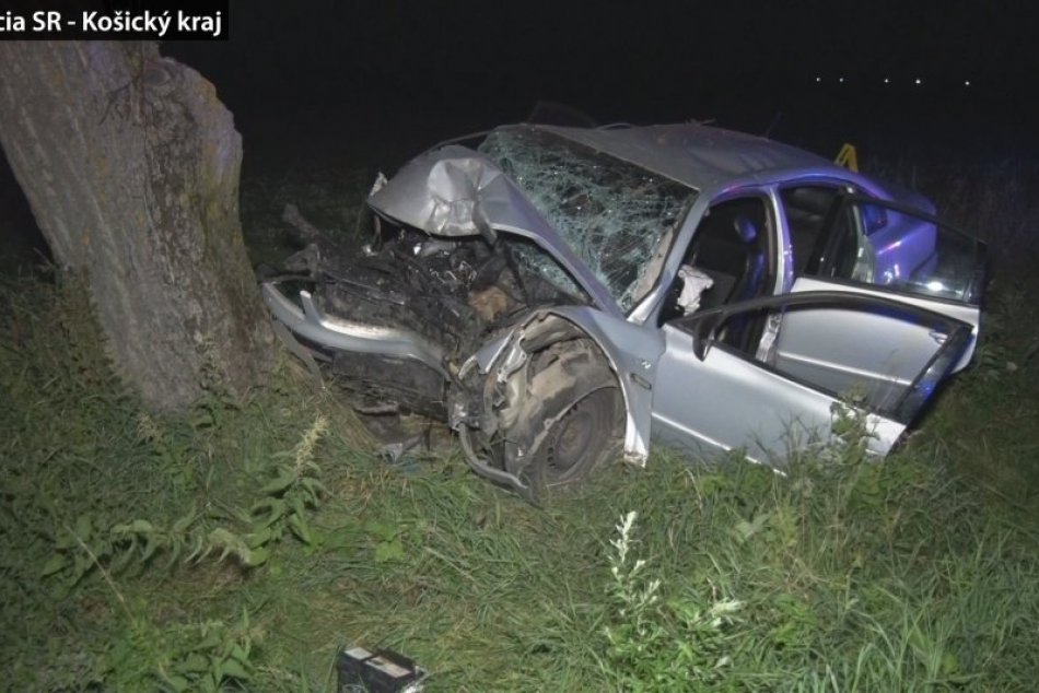 Ilustračný obrázok k článku Tragický náraz do stromu: Muž (†40) z okresu Michalovce zomrel na mieste, FOTO