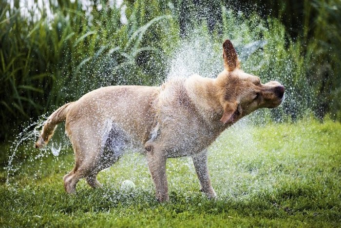 Ilustračný obrázok k článku Ochladenie je na ústupe: Kedy a kde sa vrátia tropické horúčavy?