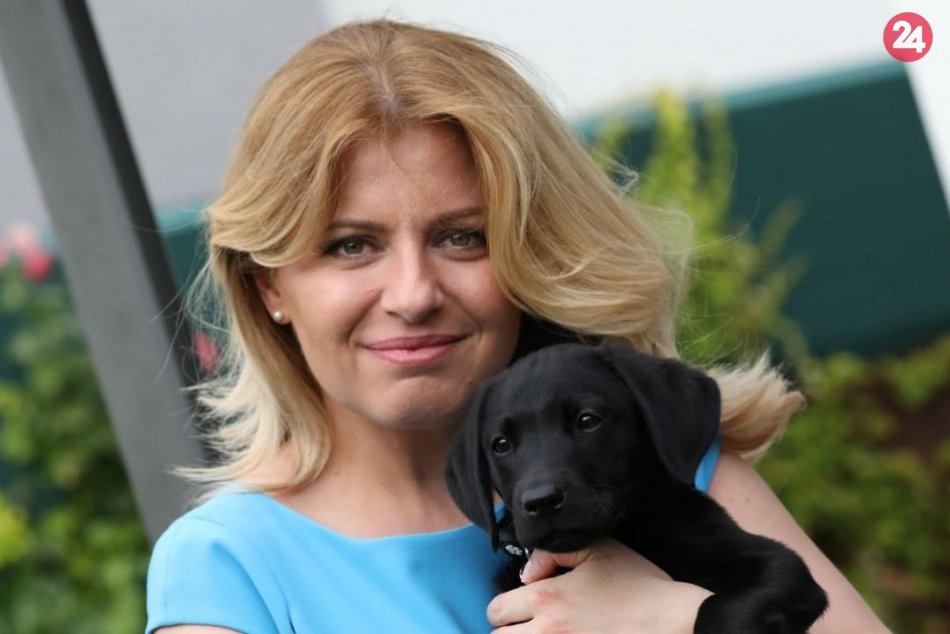 Ilustračný obrázok k článku Do väzenia až na 5 rokov! Prezidentka schválila sprísnenie trestov za týranie zvierat