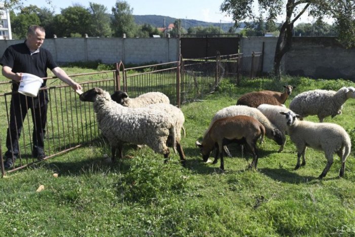 Ilustračný obrázok k článku Hlohovskí poslanci pomohli agroturistike. Stačilo zmeniť územný plán