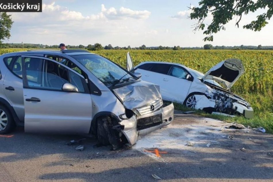 Ilustračný obrázok k článku Vodič sa chcel vyhnúť srne, narazil do protiidúceho auta, FOTO