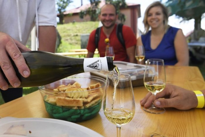 Ilustračný obrázok k článku Bude falšovanie vína trestným činom? Pod značkou SLOVENSKÉ pijeme často lacné z dovozu