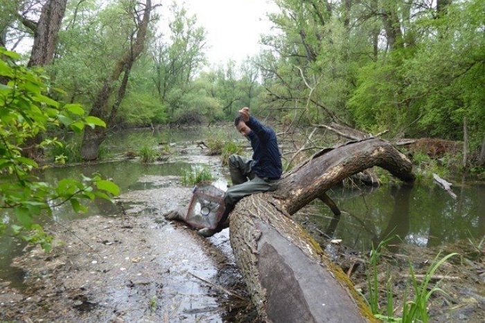 Ilustračný obrázok k článku Ochranári žiadajú viac vody pre vzácne Dunajské luhy. Petíciu podpísalo 10-tisíc ľudí