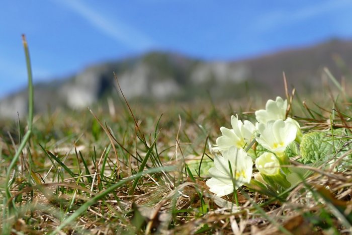 Ilustračný obrázok k článku Úrad v Trenčíne vyhlásil Langáčske skaly za CHRÁNENÉ: Čo sa tam zakazuje? MAPA