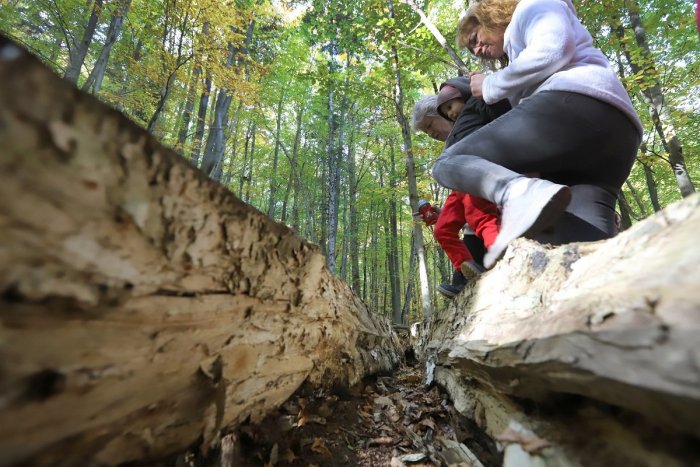 Ilustračný obrázok k článku Chcú brániť prírodu: Blízko Trenčína by malo vzniknúť chránené územie