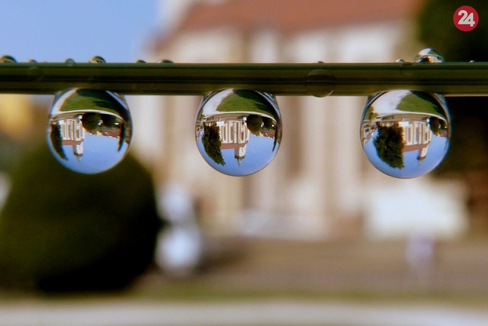 Ilustračný obrázok k článku KURIOZITA DŇA: Fotografka zachytáva svet v bublinách, kvapkách či v pavučine