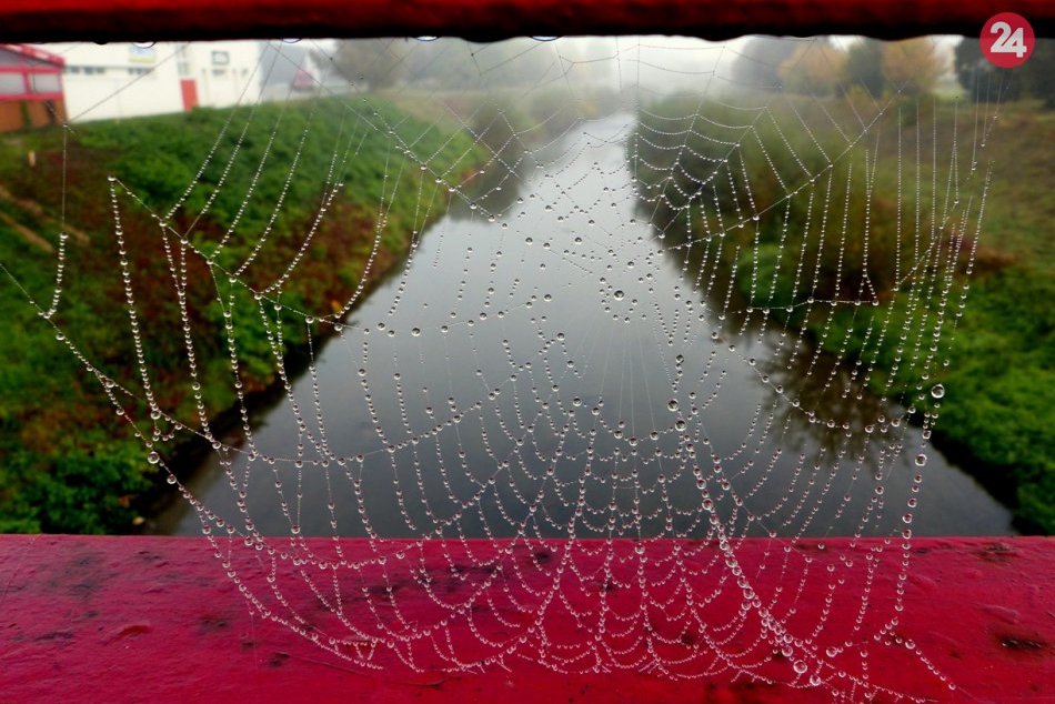 Ilustračný obrázok k článku Poďte vyčistiť Prešov! Na Sekčove bude brigáda, pridať sa môže každý