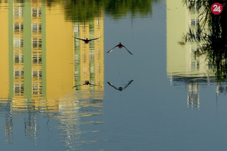 Ilustračný obrázok k článku Odvážne plány investora v novej časti sídliska Západ: Bývanie pre 1800 ľudí aj 16 poschodová budova!