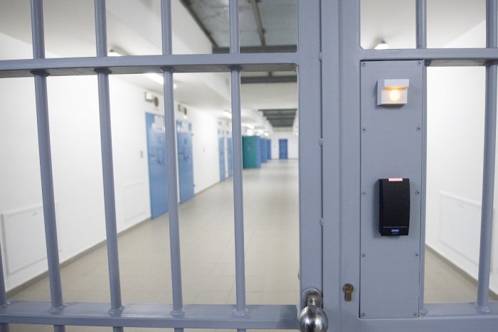 Ilustračný obrázok k článku Vodička má poriadny problém: Po kontrole v Brezne putovala rovno do policajnej cely