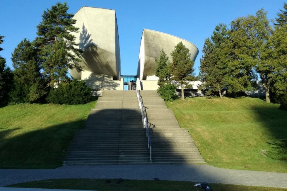 Ilustračný obrázok k článku Peľ, ktorý trápi ľudí na celom Slovensku: Vysoké koncentrácie namerali aj v Bystrici