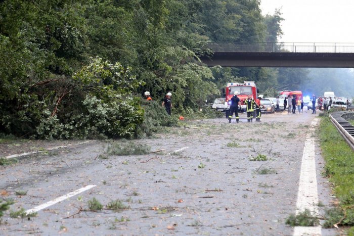 Ilustračný obrázok k článku Búrky v Rakúsku zabíjali: Na mikrobus spadol strom, traja seniori prišli o život