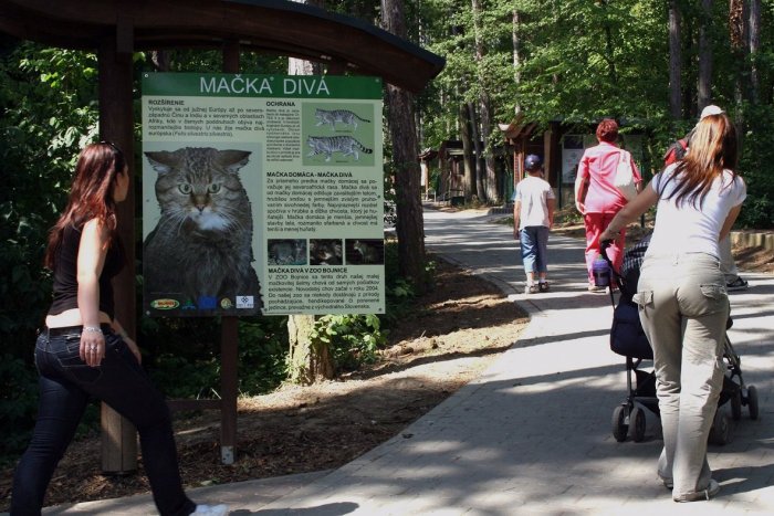 Ilustračný obrázok k článku Zoo Bojnice s novinkou: Takto vylepšili Karpatský chodník