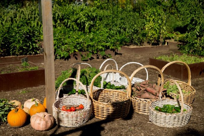 Ilustračný obrázok k článku Žiarska radnica prichádza s nápadom: TU môže vzniknúť nová záhradkárska oblasť