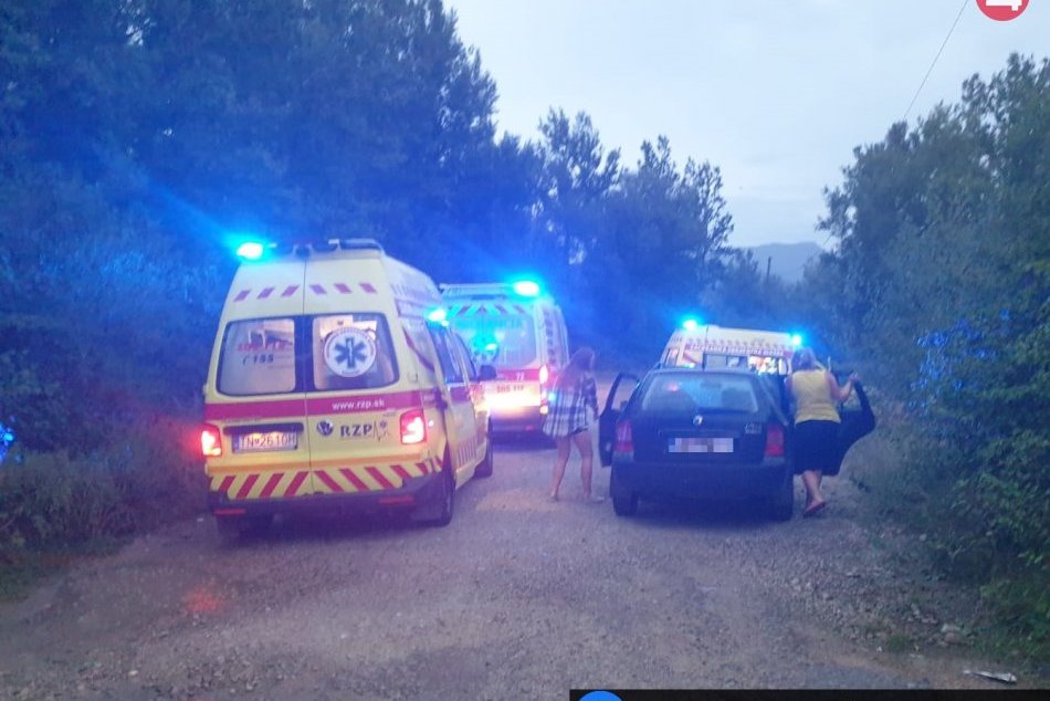 Ilustračný obrázok k článku Rodinku s deťmi napadol roj divých ôs: Policajt v civile riskoval život!