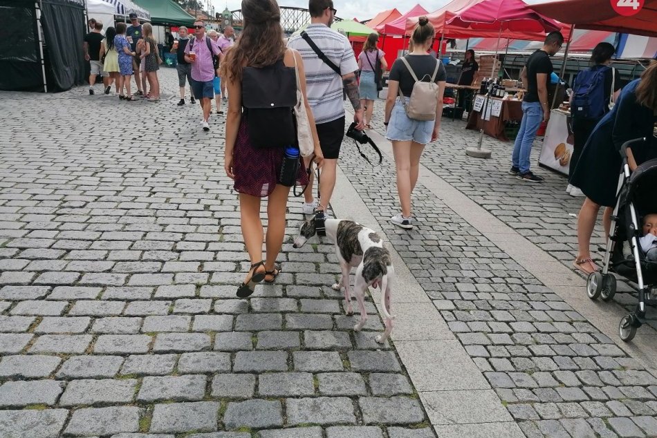 Ilustračný obrázok k článku V Česku pribudlo za štvrtok takmer 3000 nakazených