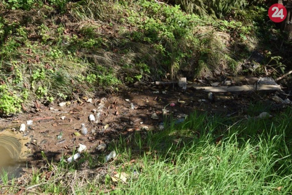 Ilustračný obrázok k článku Potoky v Humennom si ľudia mýlia so smetiskom, FOTO