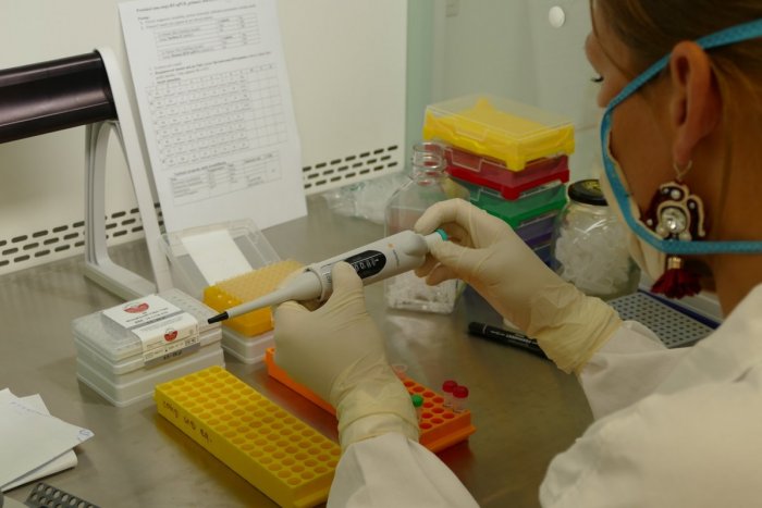 Ilustračný obrázok k článku Koronavírus hlásia 4 okresy Banskobystrického kraja: Väčšina je však z jedného