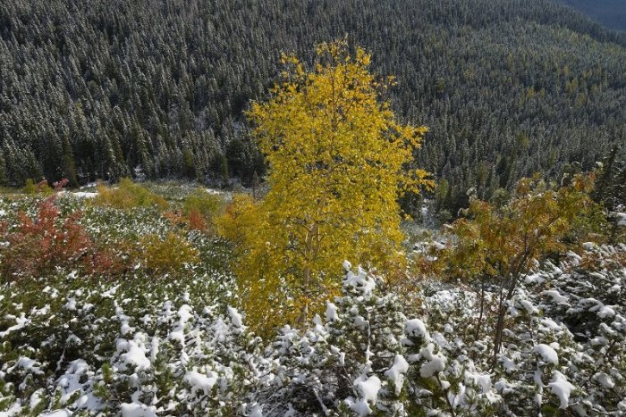 Ilustračný obrázok k článku Snežiť môže aj na Slovensku, do Európy mieri ochladenie