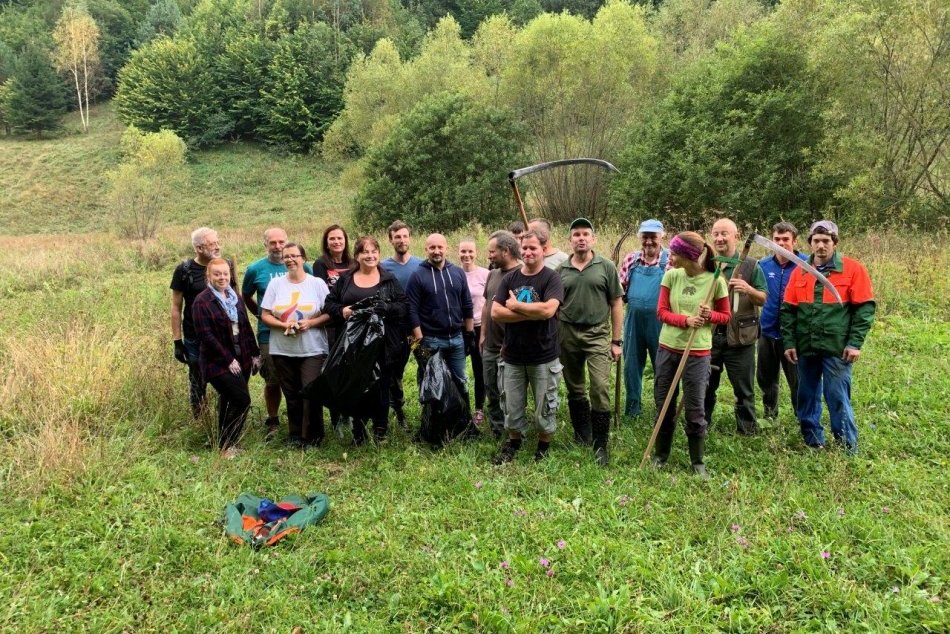 Ilustračný obrázok k článku Boj proti inváznym rastlinám: Zmizli už z jednej lokality v Bystrici, FOTO