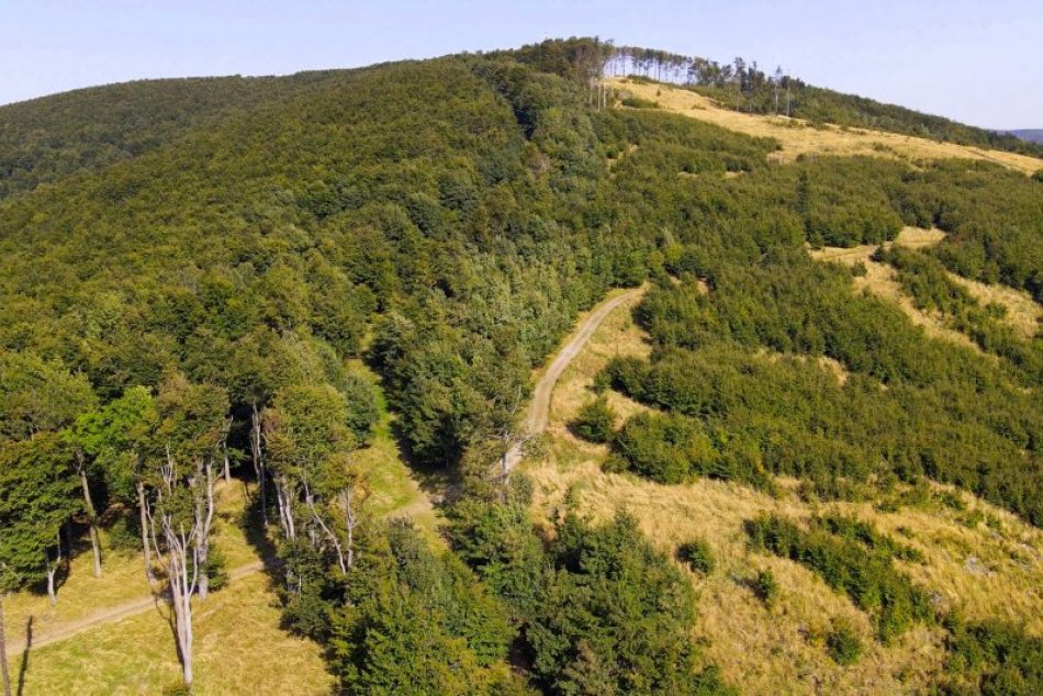 Ilustračný obrázok k článku Vandali vyčíňajú už aj v lesoch: Pozrite, čo zničili na obľúbenej turistickej trase!