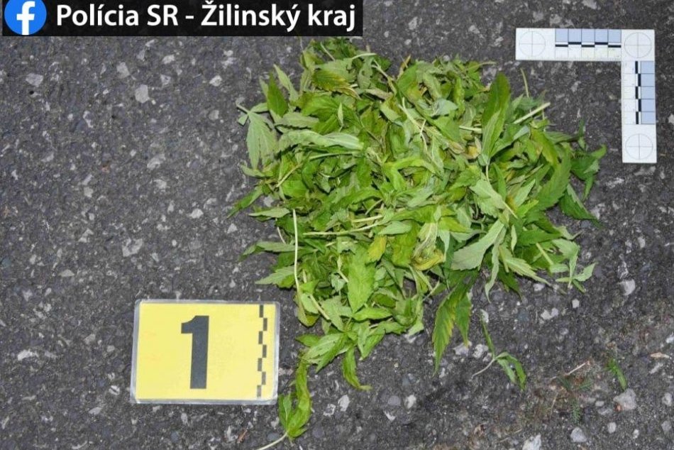 Ilustračný obrázok k článku ZÁBERY z drogovej razie v Mikuláši: V rukách polície skončili dvaja mladíci