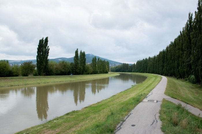 Ilustračný obrázok k článku Stromy popri rieke musia vyrúbať: Podľa odborníka predstavujú bezpečnostné riziko