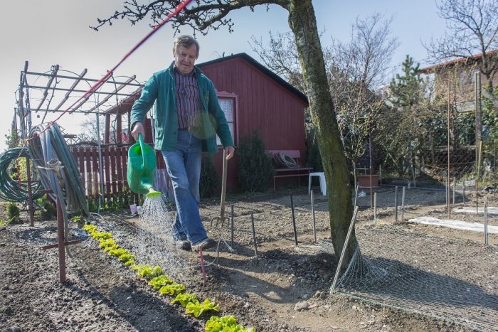 Ilustračný obrázok k článku Žiarčania sa chytili, padlo rozhodnutie: Nová záhradkárska osada bude!