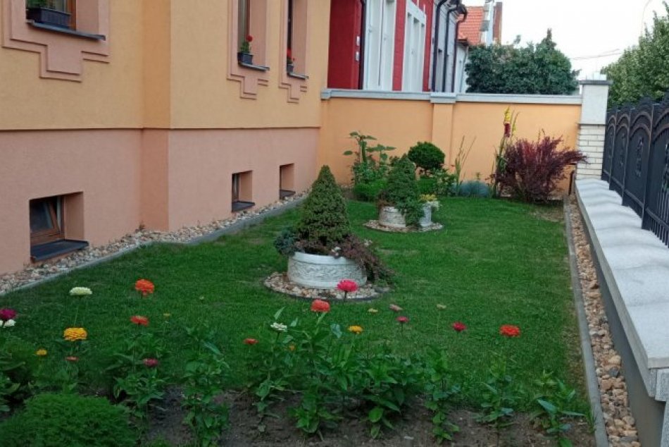 Ilustračný obrázok k článku Dominuje najmä farebná nádhera: TOTO je najkrajšia predzáhradka v Prešove, FOTO