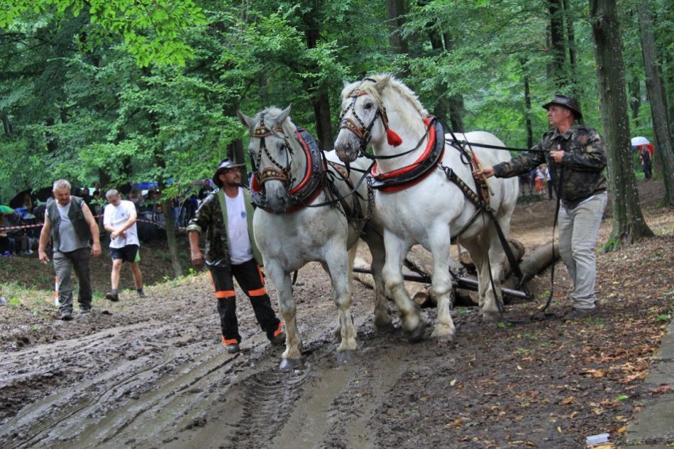 Ilustračný obrázok k článku Košická župa plánuje vyčleniť na podporu turizmu v kraji sumu vyše 830-tisíc eur