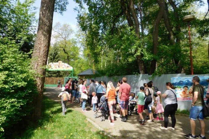 Ilustračný obrázok k článku Zoo v Spišskej Novej Vsi počas leta odolávala davom: Viac ako 100 000 ľudí!