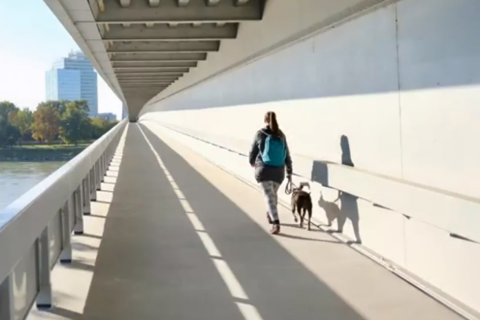 Ilustračný obrázok k článku Potemkinovský náter na Moste SNP: Kedy bude konečne všetko, ako má byť?