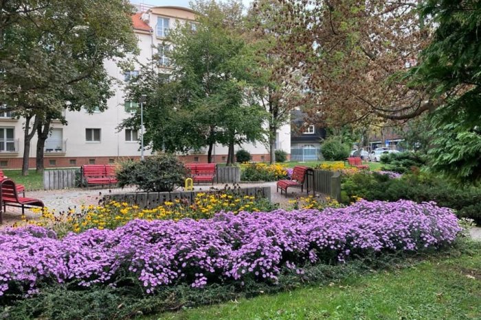 Ilustračný obrázok k článku Kedysi zanedbaný parčík dnes spieva farbami. Pozrite sa na tú nádheru