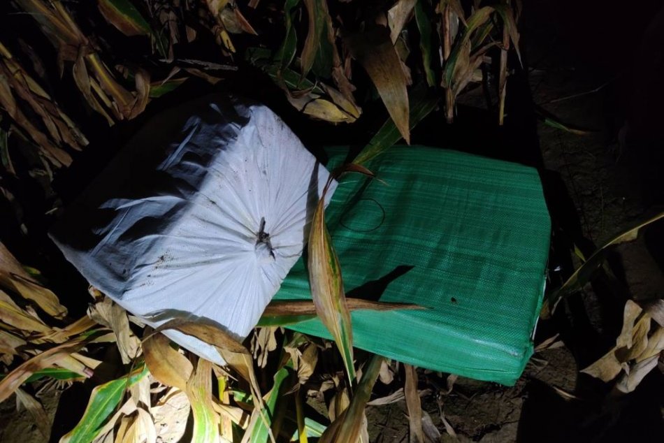 Ilustračný obrázok k článku Hraničiari našli v kukuričnom poli tisíce pašovaných cigariet