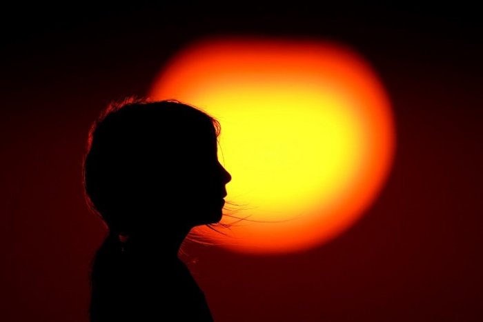 Ilustračný obrázok k článku Na jeseň a v zime sa vitamín D netvorí. Ako ho získať dostatok, aby bolo telo chránené pred vírusmi?