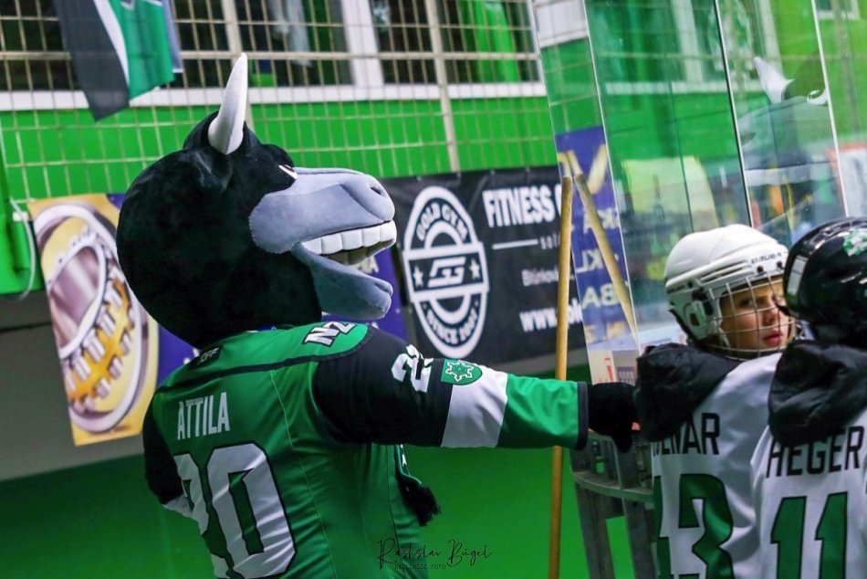 Ilustračný obrázok k článku Hokejisti Zámkov s ďalším skalpom: Liptákom nadelili šesť gólov