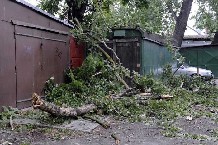 Ilustračný obrázok k článku Do parkov a lesov radšej nechoďte. Kombinácia dažďa a vetra je VEĽMI nebezpečná!