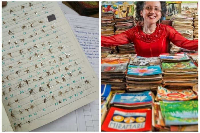 Ilustračný obrázok k článku SVET O SLOVENSKU: Vášniví nadšenci zbierajú naozaj čokoľvek. Servítky, aj komáre!