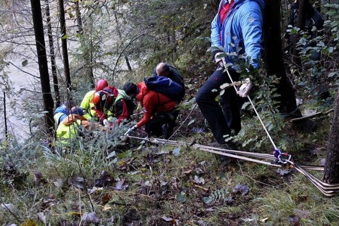 Ilustračný obrázok k článku Osudné hubárčenie: Láska k hríbom ho stála život