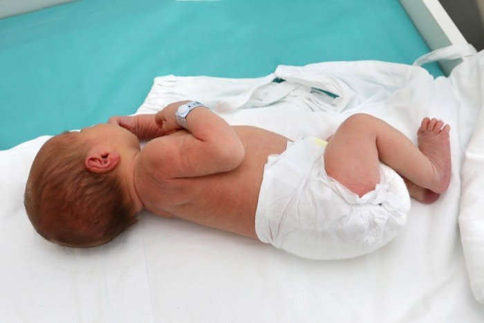 Ilustračný obrázok k článku V košickom hniezde záchrany našli bábätko