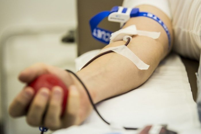 Ilustračný obrázok k článku Ukázali veľké srdce: V nemocnici v Komárne darovalo krv vyše 1 600 darcov