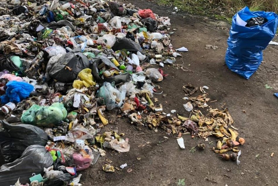 Ilustračný obrázok k článku Ako dopadla analýza odpadu v Snine? Výsledok vás možno prekvapí