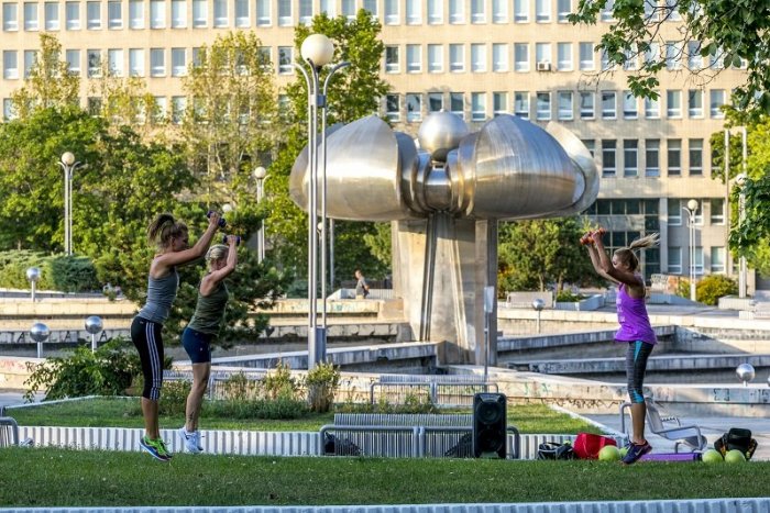 Ilustračný obrázok k článku Holandsko poslalo Bratislavčanom úžasný darček: Námestie zaplaví TÁTO rastlinka