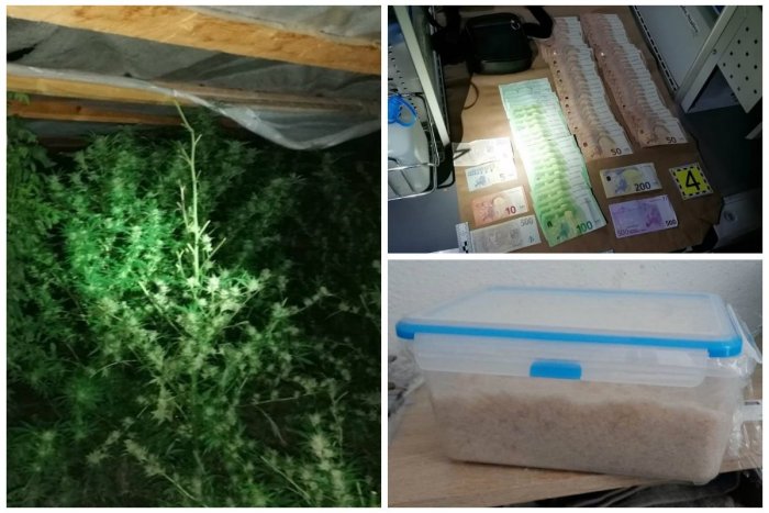 Ilustračný obrázok k článku Zásah 200 policajtov: NAKA zadržala v rámci protidrogovej akcie Cisár 12 ľudí!