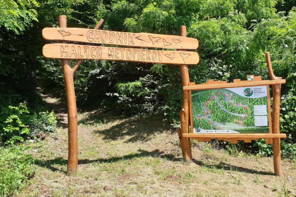 Ilustračný obrázok k článku Na Gemeri slávnostne otvoria nevšednú atrakciu: Čo ponúka Chodník malých netopierov?