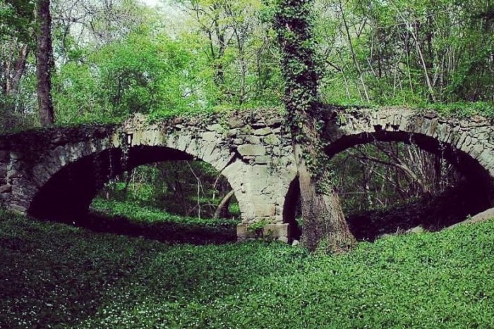 Ilustračný obrázok k článku TOP 10 tipov na výlety v okrese Bratislava: Kam do prírody počas obmedzeného vychádzania?