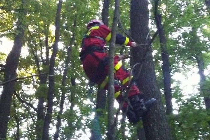 Ilustračný obrázok k článku Lesopark Brezina poslúžil hasičom: Záchrana paraglajdistu uviaznutého na strome