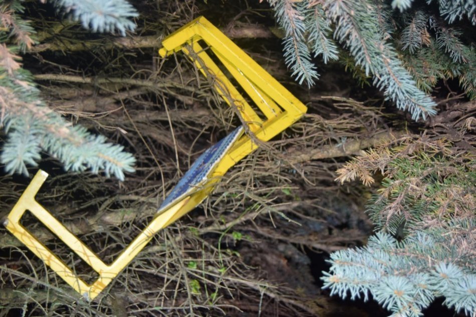 Ilustračný obrázok k článku V Bystrici našli zničenú papuču: Páchateľovi hrozí až 5 rokov basy, FOTO