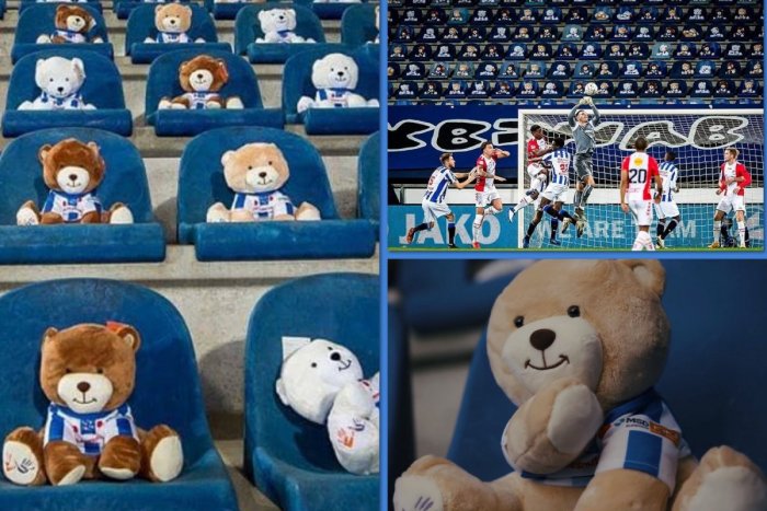 Ilustračný obrázok k článku ROZKOŠNÝ nápad: NEUVERÍTE, ale do hľadiska posadili 15-tisíc medvedíkov! FOTO a VIDEO