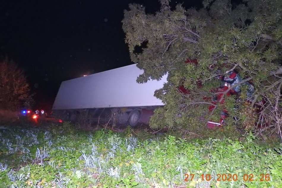 Ilustračný obrázok k článku Kamión naložený banánmi narazil do stromu: Vodič skončil v nemocnici, FOTO